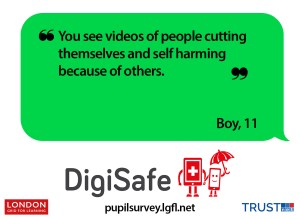 DigiSafe Pupilsurvey result discussing boy aged 11 self-harming